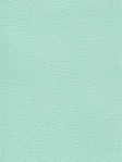 Aqua Perl 485